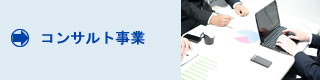 コンサルト事業